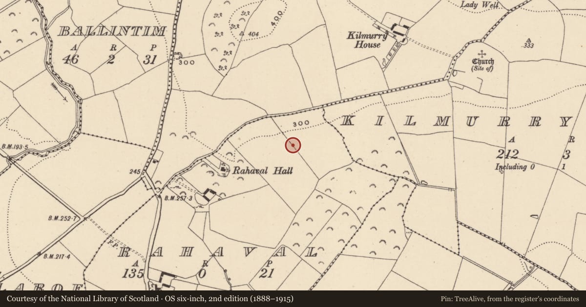 Ordnance Survey six-inch map, 2nd edition (1888–1915) covering the location of Enclosure, Rahaval, County Wicklow, with a pin at the register's coordinates