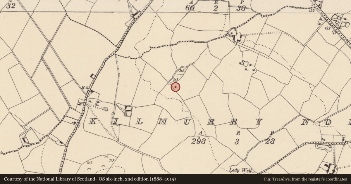 Ordnance Survey six-inch map, 2nd edition (1888–1915) covering the location of Ringfort - rath, Kilmurry North, County Wicklow, with a pin at the register's coordinates