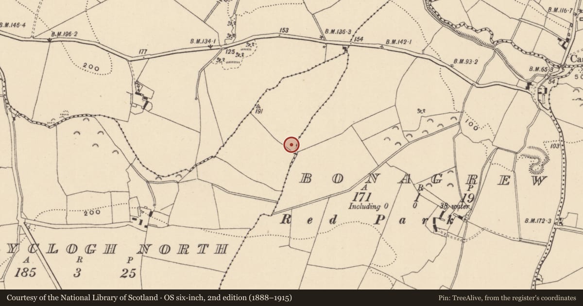 Ordnance Survey six-inch map, 2nd edition (1888–1915) covering the location of Ringfort - rath, Ballyclogh North, County Wicklow, with a pin at the register's coordinates