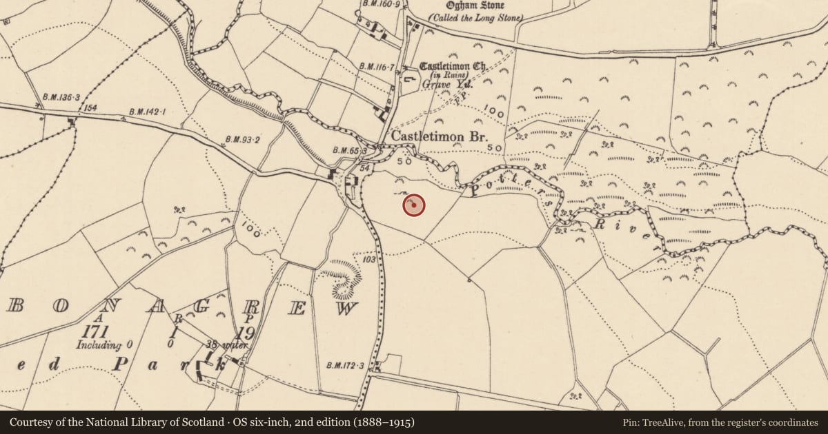Ordnance Survey six-inch map, 2nd edition (1888–1915) covering the location of Megalithic tomb - portal tomb, Brittas, County Wicklow, with a pin at the register's coordinates