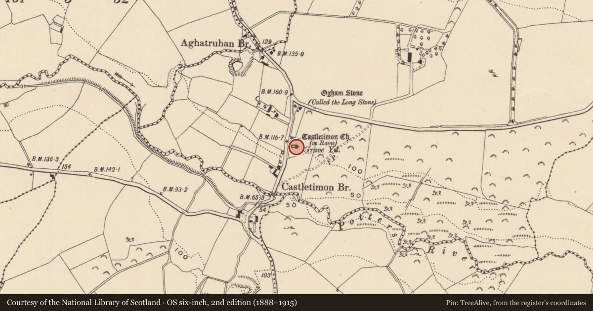 Ordnance Survey six-inch map, 2nd edition (1888–1915) covering the location of Ecclesiastical enclosure, Castletimon, County Wicklow, with a pin at the register's coordinates