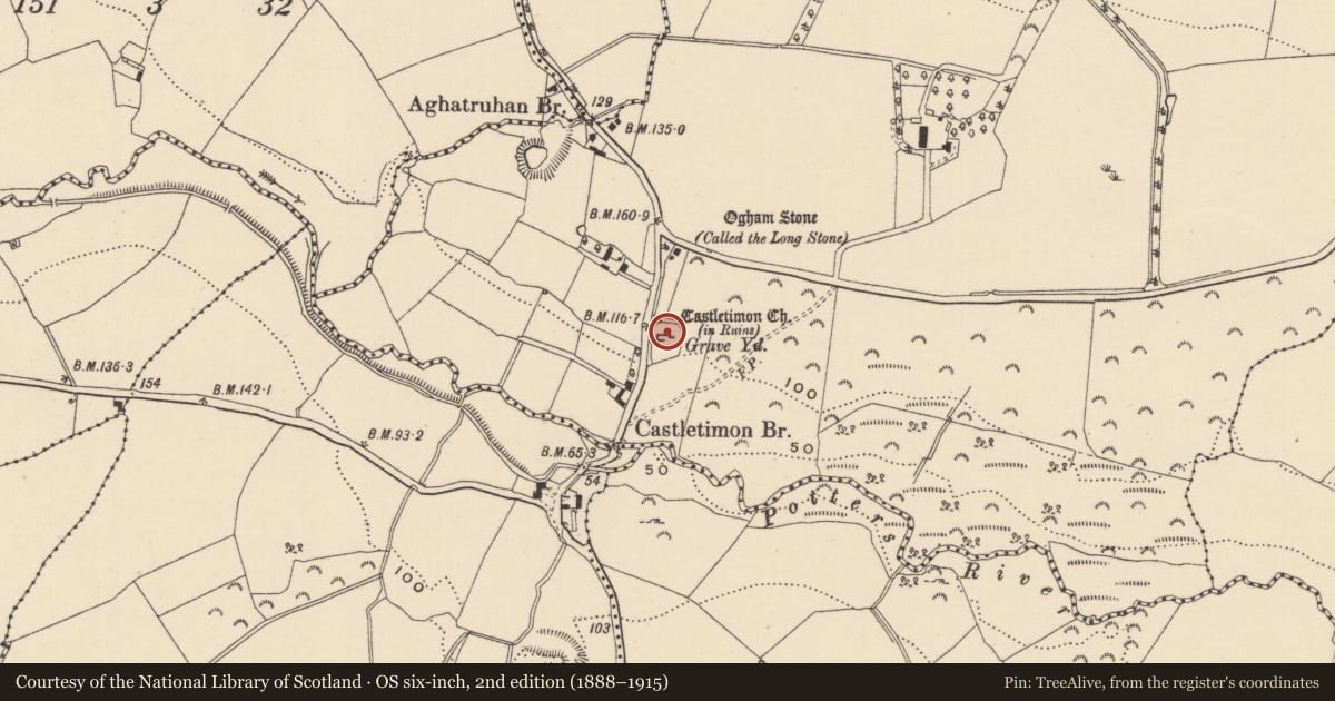 Ordnance Survey six-inch map, 2nd edition (1888–1915) covering the location of Font, Castletimon, County Wicklow, with a pin at the register's coordinates