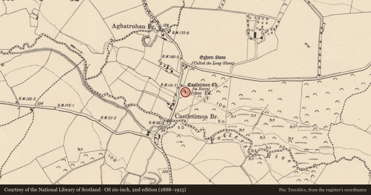 Ordnance Survey six-inch map, 2nd edition (1888–1915) covering the location of Graveyard, Castletimon, County Wicklow, with a pin at the register's coordinates