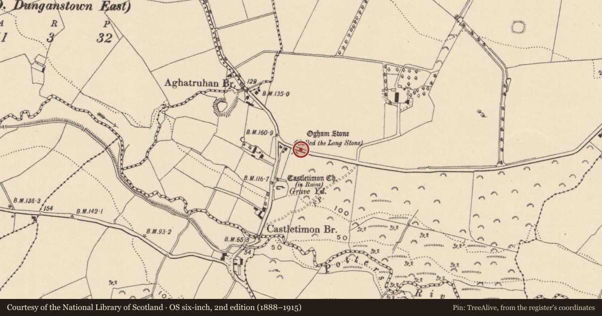 Ordnance Survey six-inch map, 2nd edition (1888–1915) covering the location of Ogham stone, Castletimon, County Wicklow, with a pin at the register's coordinates
