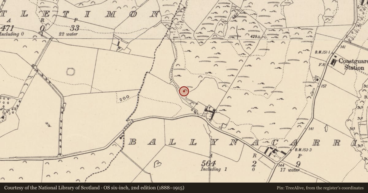 Ordnance Survey six-inch map, 2nd edition (1888–1915) covering the location of Enclosure, Ballynacarrig, County Wicklow, with a pin at the register's coordinates