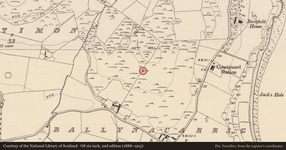 Ordnance Survey six-inch map, 2nd edition (1888–1915) covering the location of Enclosure, Ballynacarrig, County Wicklow, with a pin at the register's coordinates