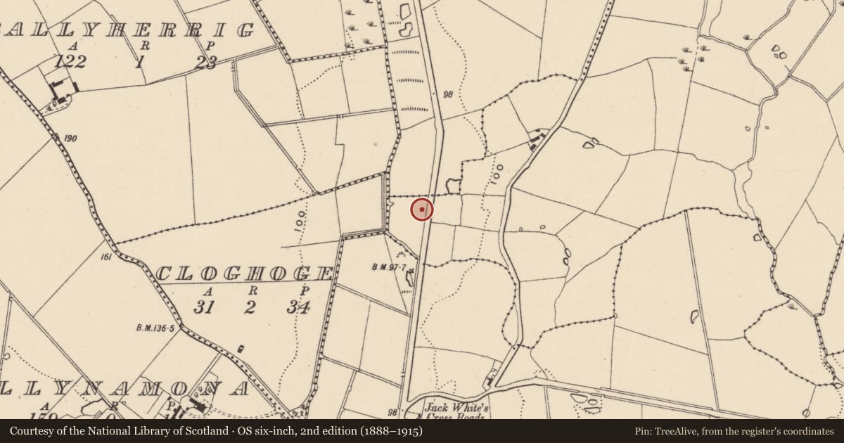 Ordnance Survey six-inch map, 2nd edition (1888–1915) covering the location of Enclosure, Ballinaclea, County Wicklow, with a pin at the register's coordinates