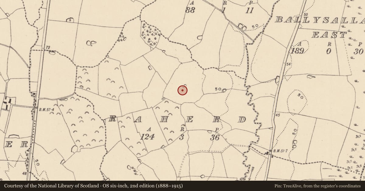Ordnance Survey six-inch map, 2nd edition (1888–1915) covering the location of Enclosure, Raherd, County Wicklow, with a pin at the register's coordinates