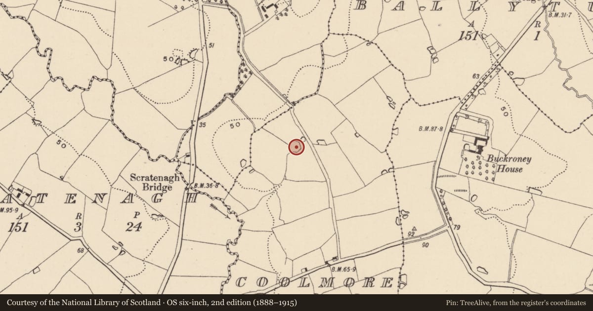 Ordnance Survey six-inch map, 2nd edition (1888–1915) covering the location of Mound, Coolmore, County Wicklow, with a pin at the register's coordinates