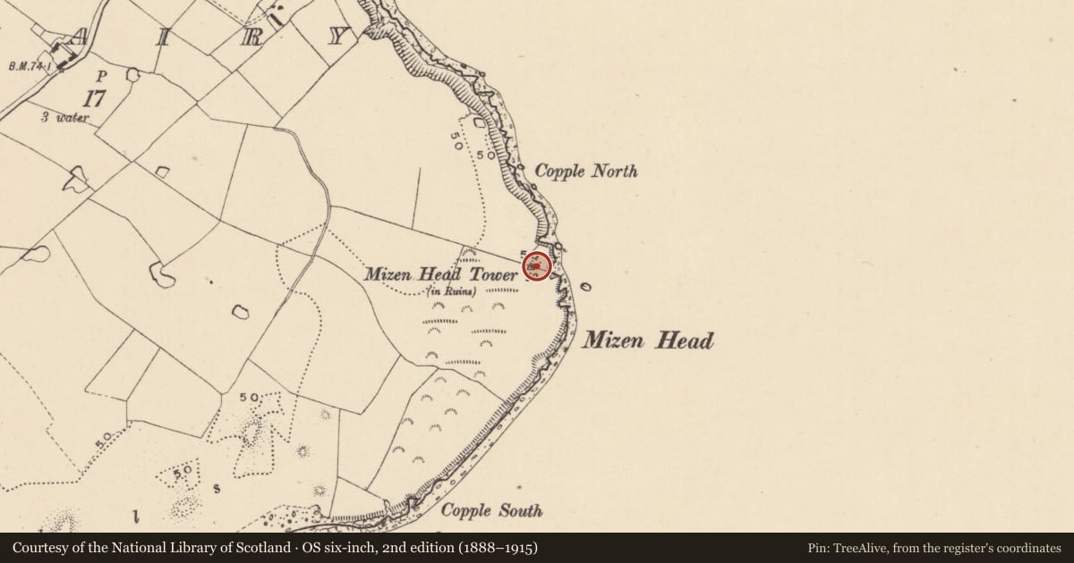 Ordnance Survey six-inch map, 2nd edition (1888–1915) covering the location of Signal tower, Ardanairy, County Wicklow, with a pin at the register's coordinates