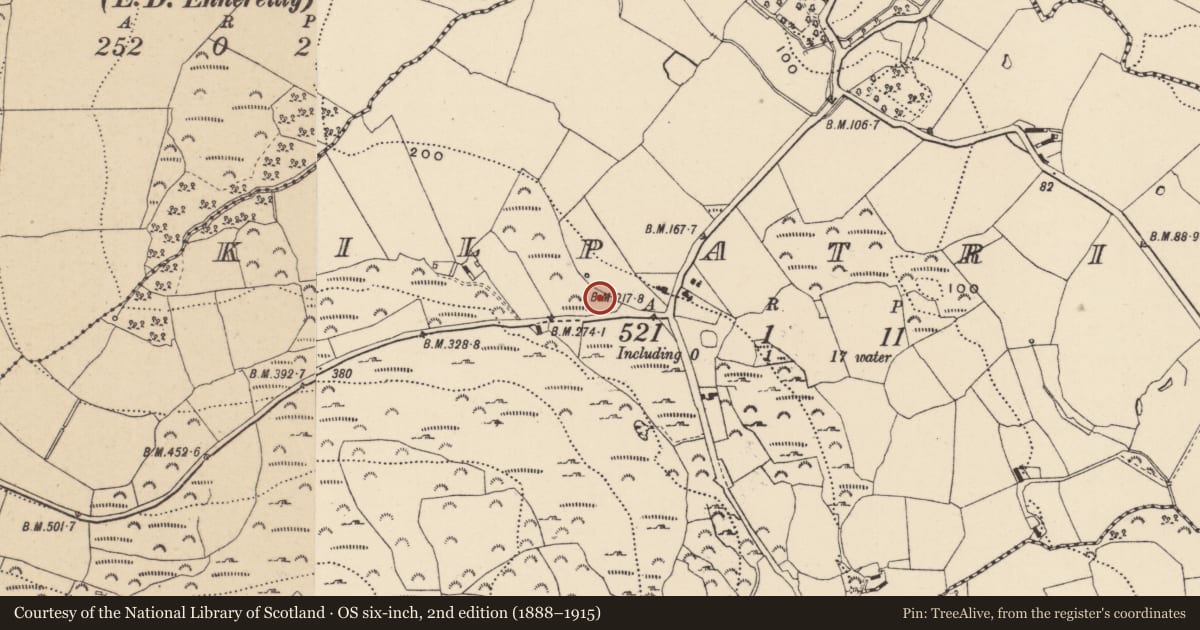 Ordnance Survey six-inch map, 2nd edition (1888–1915) covering the location of Church, Kilpatrick, County Wicklow, with a pin at the register's coordinates