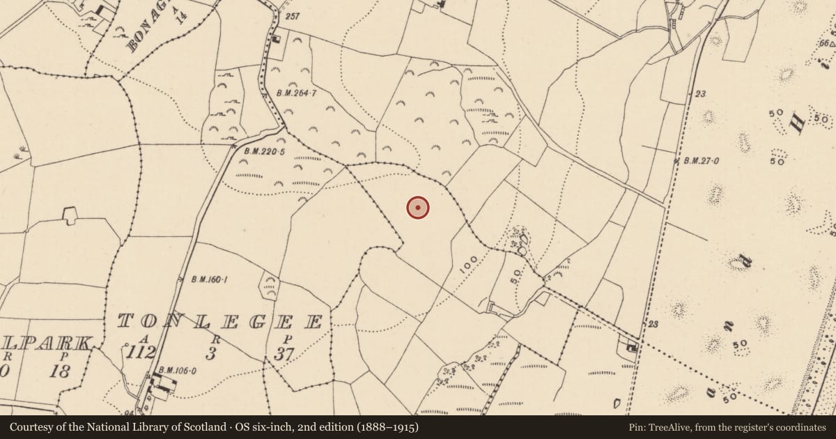 Ordnance Survey six-inch map, 2nd edition (1888–1915) covering the location of Prehistoric site - lithic scatter, Cornagower West, County Wicklow, with a pin at the register's coordinates