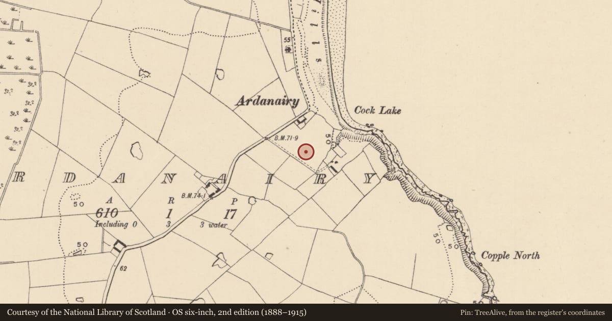 Ordnance Survey six-inch map, 2nd edition (1888–1915) covering the location of Prehistoric site - lithic scatter, Ardanairy, County Wicklow, with a pin at the register's coordinates