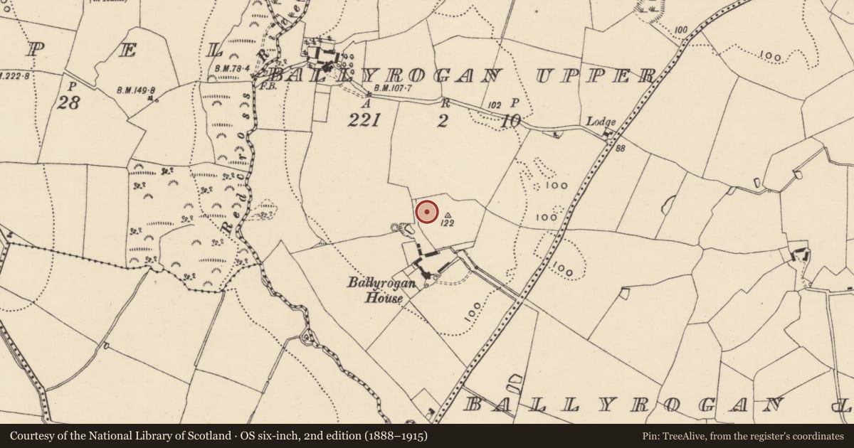 Ordnance Survey six-inch map, 2nd edition (1888–1915) covering the location of Prehistoric site - lithic scatter, Ballyrogan Upper, County Wicklow, with a pin at the register's coordinates