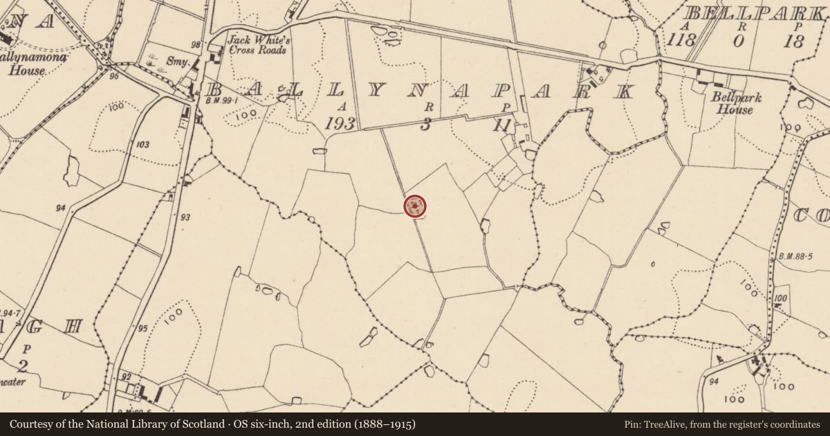 Ordnance Survey six-inch map, 2nd edition (1888–1915) covering the location of Moated site, Ballynapark, County Wicklow, with a pin at the register's coordinates