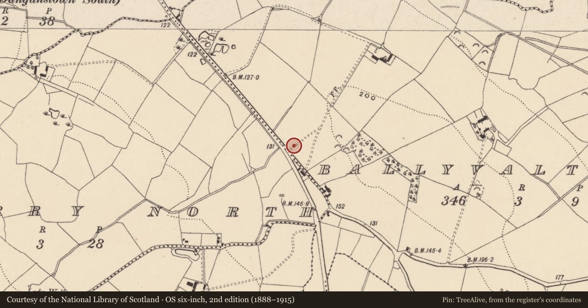 Ordnance Survey six-inch map, 2nd edition (1888–1915) covering the location of Excavation - miscellaneous, Ballyvaltron, County Wicklow, with a pin at the register's coordinates