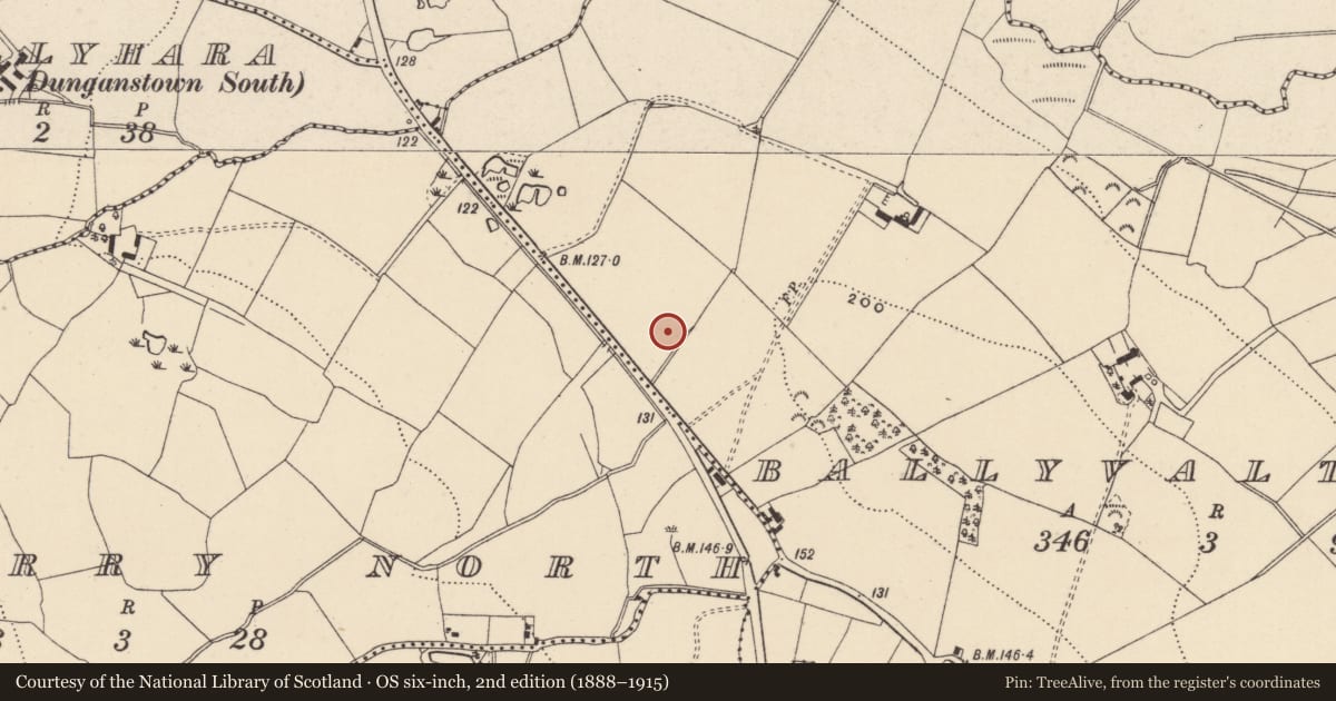 Ordnance Survey six-inch map, 2nd edition (1888–1915) covering the location of Fulacht fia, Ballyvaltron, County Wicklow, with a pin at the register's coordinates