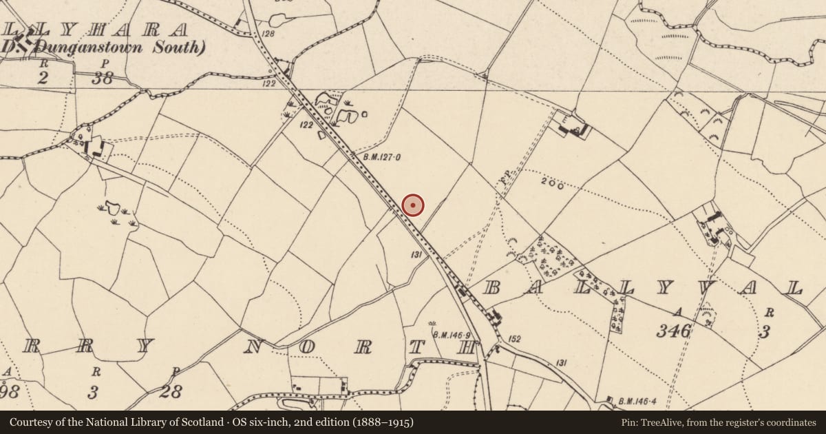 Ordnance Survey six-inch map, 2nd edition (1888–1915) covering the location of Hut site, Ballyvaltron, County Wicklow, with a pin at the register's coordinates