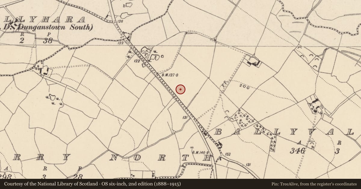 Ordnance Survey six-inch map, 2nd edition (1888–1915) covering the location of Burnt mound, Ballyvaltron, County Wicklow, with a pin at the register's coordinates
