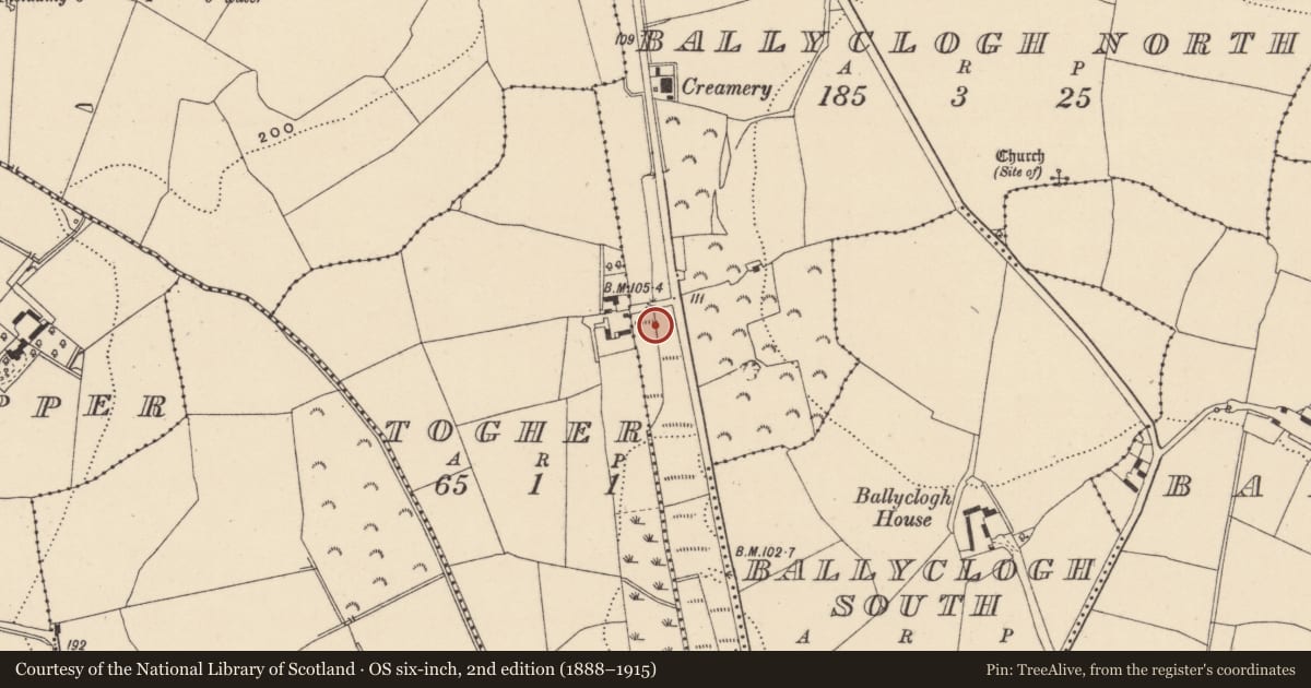 Ordnance Survey six-inch map, 2nd edition (1888–1915) covering the location of Burnt mound, Ballyclogh North, County Wicklow, with a pin at the register's coordinates