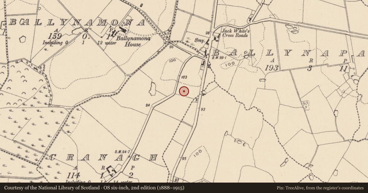 Ordnance Survey six-inch map, 2nd edition (1888–1915) covering the location of Burnt mound, Cranagh, County Wicklow, with a pin at the register's coordinates