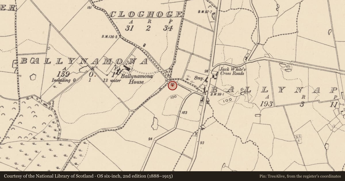 Ordnance Survey six-inch map, 2nd edition (1888–1915) covering the location of Cremation pit, Cranagh, County Wicklow, with a pin at the register's coordinates