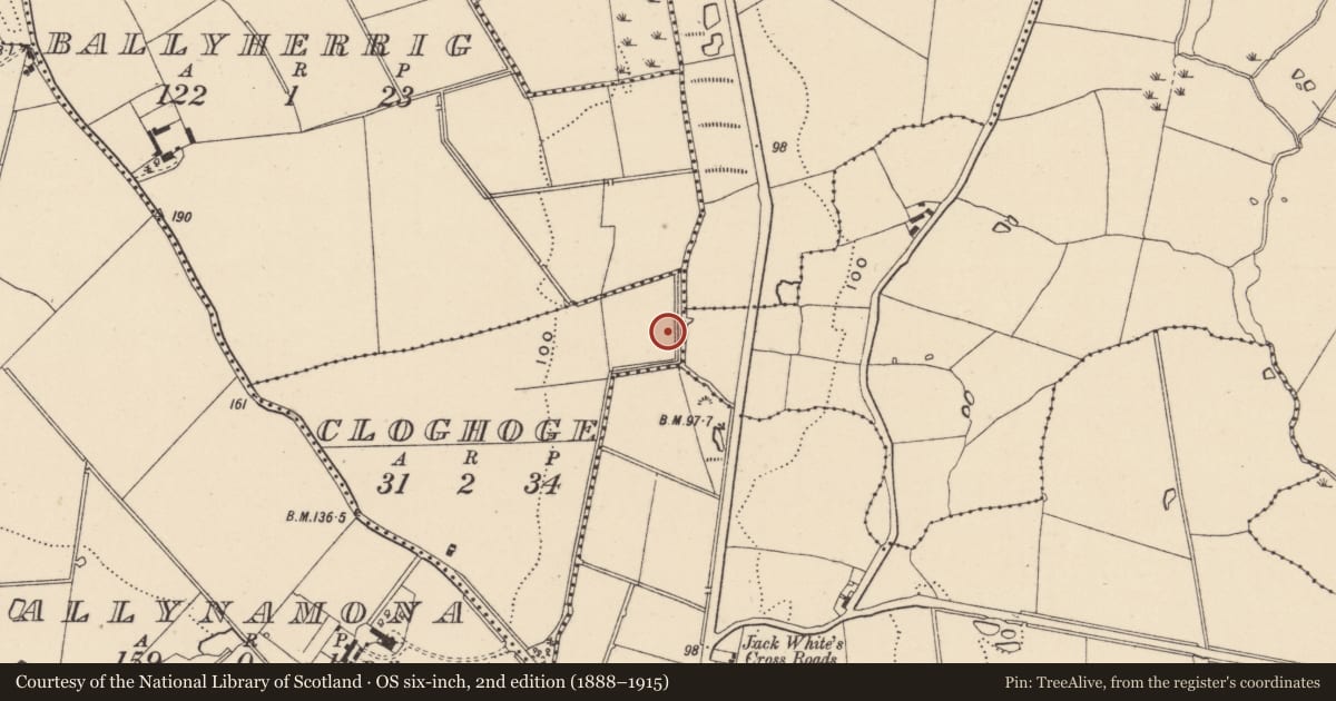 Ordnance Survey six-inch map, 2nd edition (1888–1915) covering the location of Burnt mound, Cloghoge, County Wicklow, with a pin at the register's coordinates