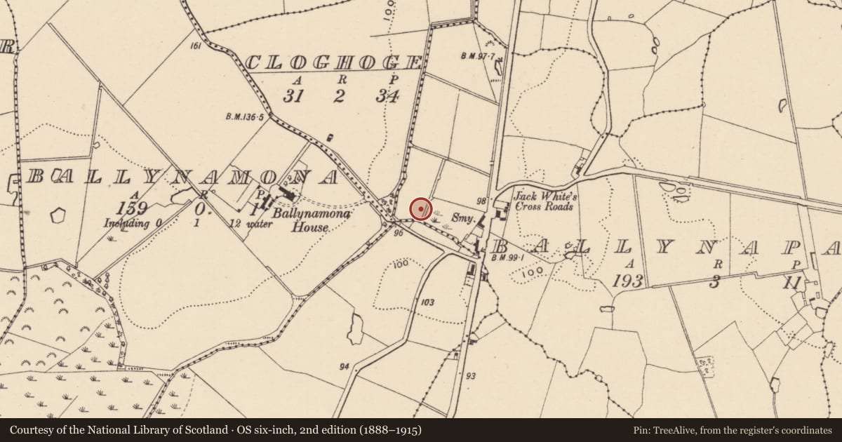 Ordnance Survey six-inch map, 2nd edition (1888–1915) covering the location of Burnt spread, Ballynapark, County Wicklow, with a pin at the register's coordinates