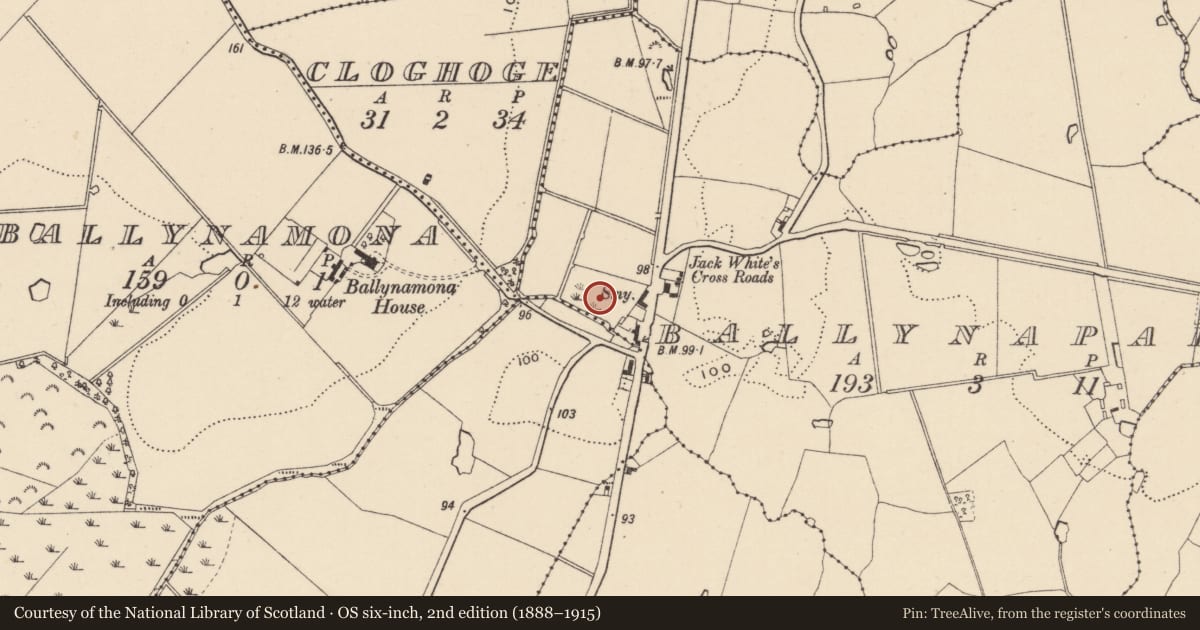 Ordnance Survey six-inch map, 2nd edition (1888–1915) covering the location of Burnt spread, Ballynapark, County Wicklow, with a pin at the register's coordinates