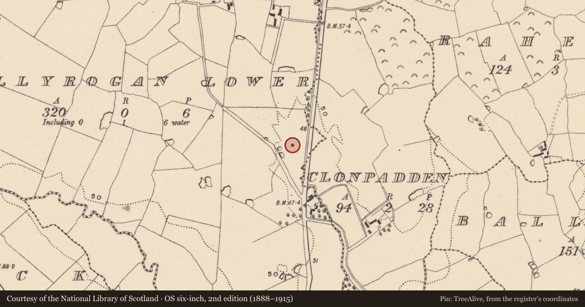 Ordnance Survey six-inch map, 2nd edition (1888–1915) covering the location of Burnt mound, Ballyrogan Lower, County Wicklow, with a pin at the register's coordinates
