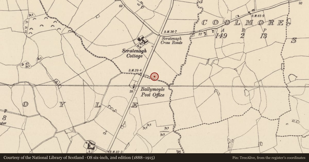 Ordnance Survey six-inch map, 2nd edition (1888–1915) covering the location of Burnt spread, Scratenagh, County Wicklow, with a pin at the register's coordinates