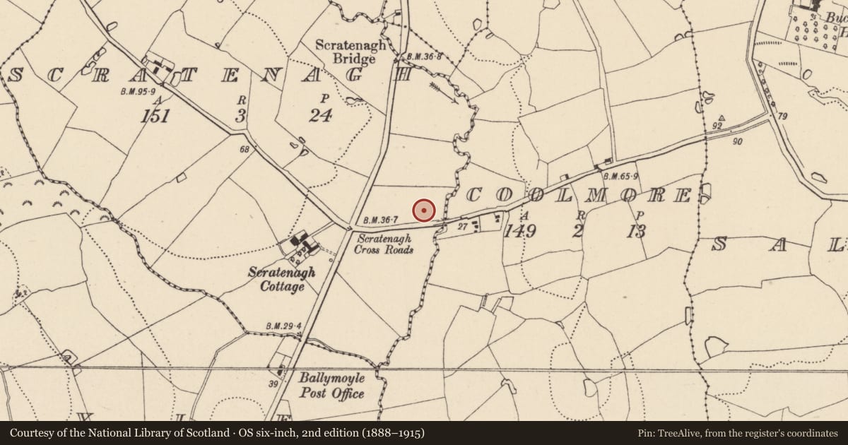 Ordnance Survey six-inch map, 2nd edition (1888–1915) covering the location of Burnt mound, Scratenagh, County Wicklow, with a pin at the register's coordinates
