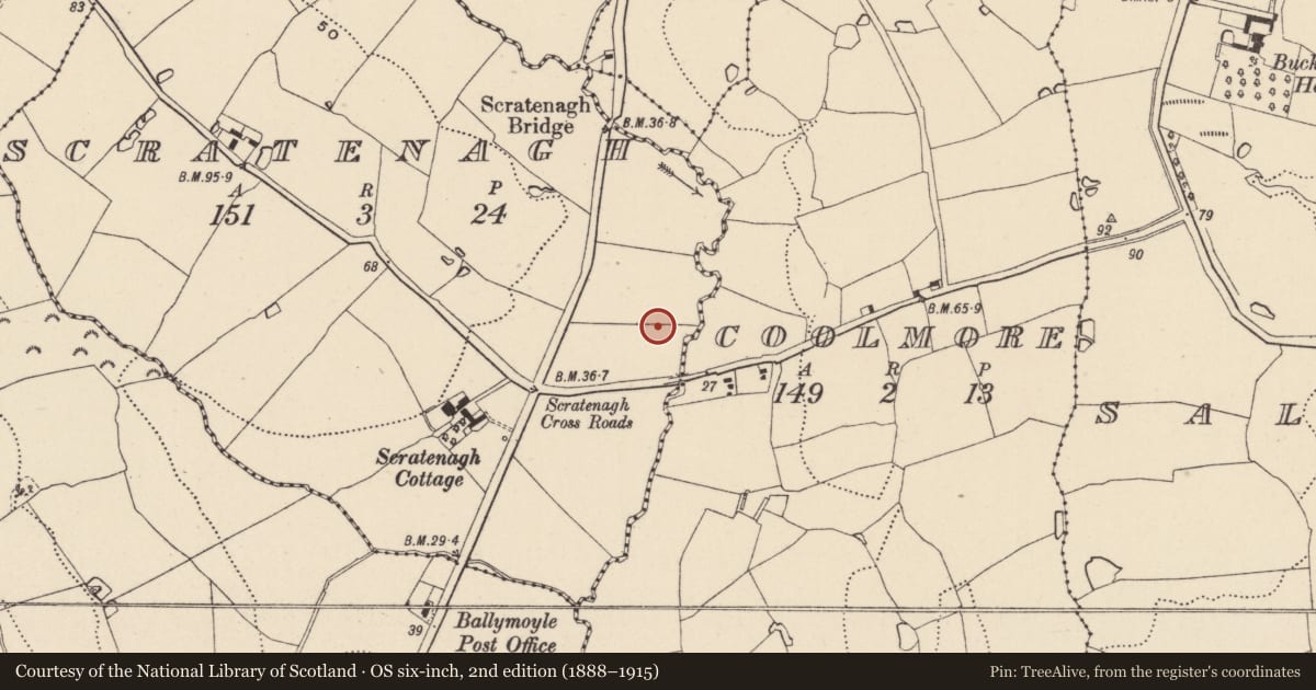 Ordnance Survey six-inch map, 2nd edition (1888–1915) covering the location of Burnt mound, Scratenagh, County Wicklow, with a pin at the register's coordinates