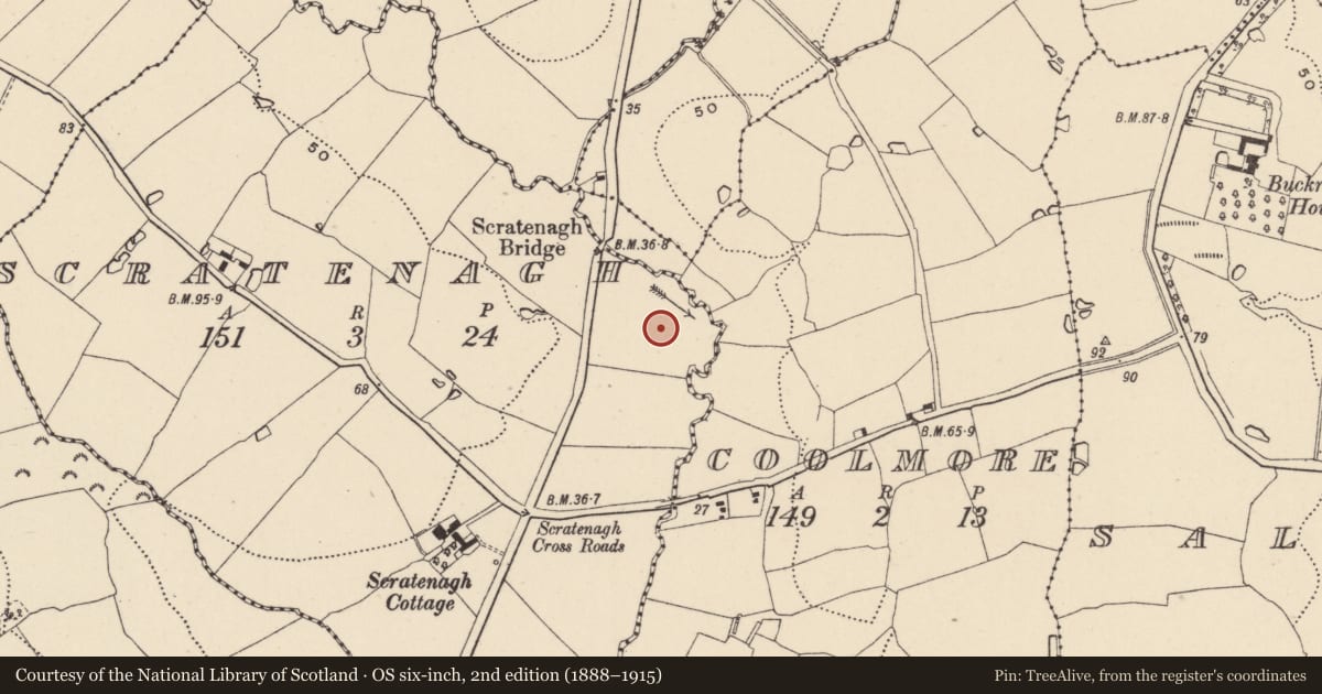 Ordnance Survey six-inch map, 2nd edition (1888–1915) covering the location of Burnt mound, Scratenagh, County Wicklow, with a pin at the register's coordinates