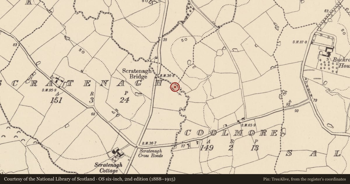 Ordnance Survey six-inch map, 2nd edition (1888–1915) covering the location of Pit, Scratenagh, County Wicklow, with a pin at the register's coordinates