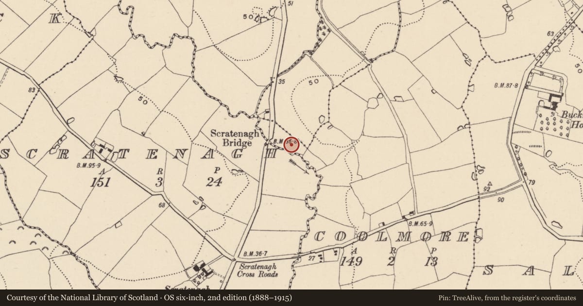 Ordnance Survey six-inch map, 2nd edition (1888–1915) covering the location of Burnt mound, Scratenagh, County Wicklow, with a pin at the register's coordinates