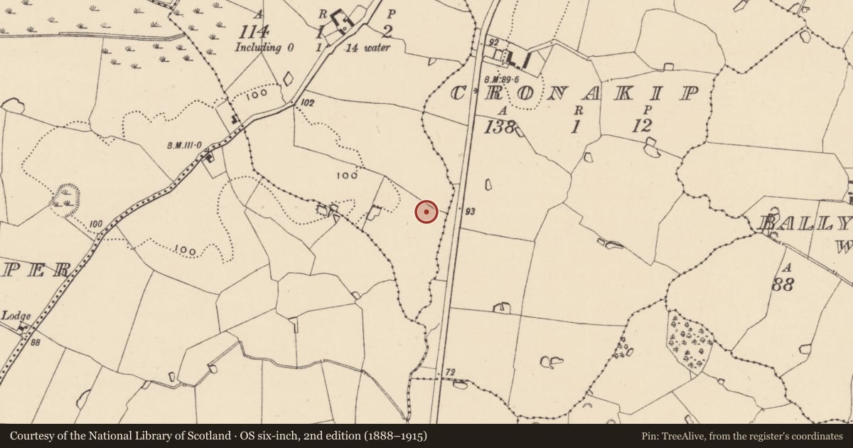 Ordnance Survey six-inch map, 2nd edition (1888–1915) covering the location of Pit, Cranagh, County Wicklow, with a pin at the register's coordinates