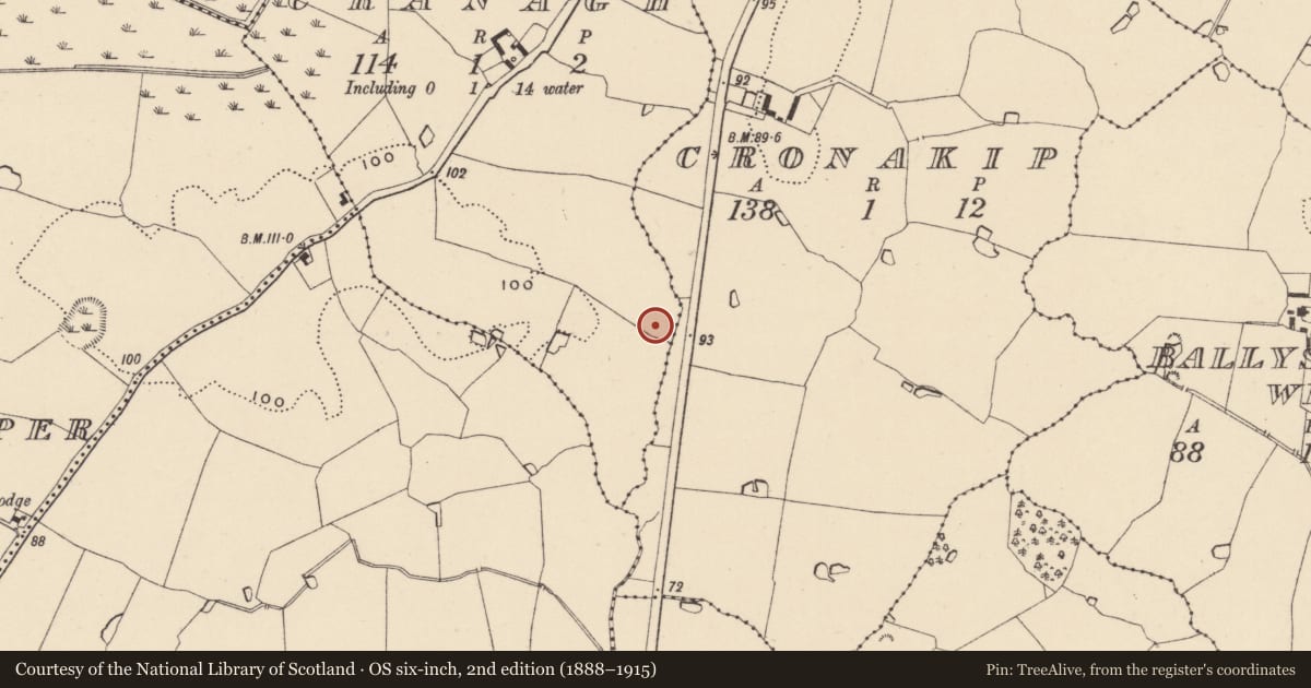 Ordnance Survey six-inch map, 2nd edition (1888–1915) covering the location of Pit, Cranagh, County Wicklow, with a pin at the register's coordinates