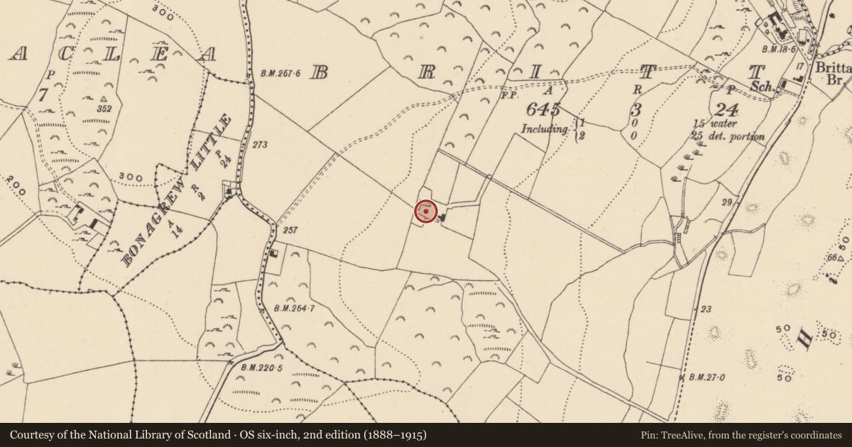 Ordnance Survey six-inch map, 2nd edition (1888–1915) covering the location of Burnt mound, Ballyclogh South, County Wicklow, with a pin at the register's coordinates