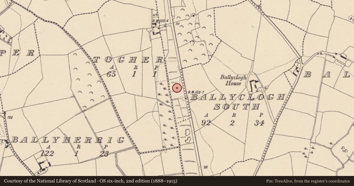 Ordnance Survey six-inch map, 2nd edition (1888–1915) covering the location of Burnt mound, Ballyclogh North, County Wicklow, with a pin at the register's coordinates