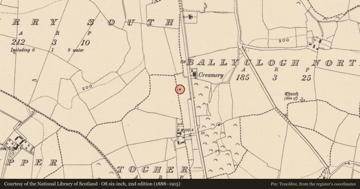 Ordnance Survey six-inch map, 2nd edition (1888–1915) covering the location of Burnt mound, Ballyclogh North, County Wicklow, with a pin at the register's coordinates