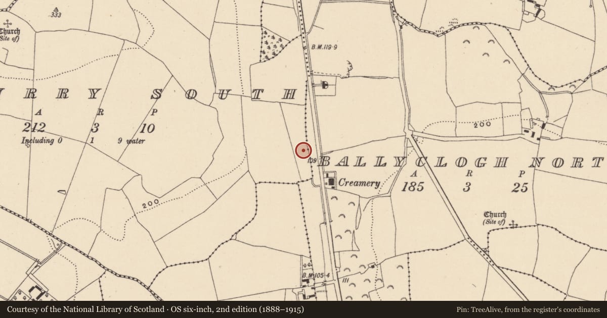 Ordnance Survey six-inch map, 2nd edition (1888–1915) covering the location of Burnt spread, Kilmurry South, County Wicklow, with a pin at the register's coordinates