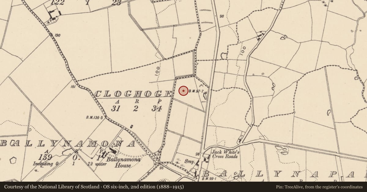 Ordnance Survey six-inch map, 2nd edition (1888–1915) covering the location of Burnt mound, Ballynapark, County Wicklow, with a pin at the register's coordinates