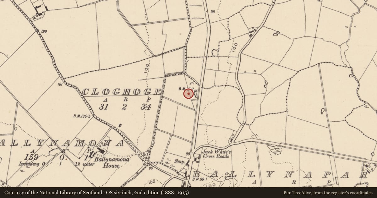 Ordnance Survey six-inch map, 2nd edition (1888–1915) covering the location of Burnt mound, Ballynapark, County Wicklow, with a pin at the register's coordinates