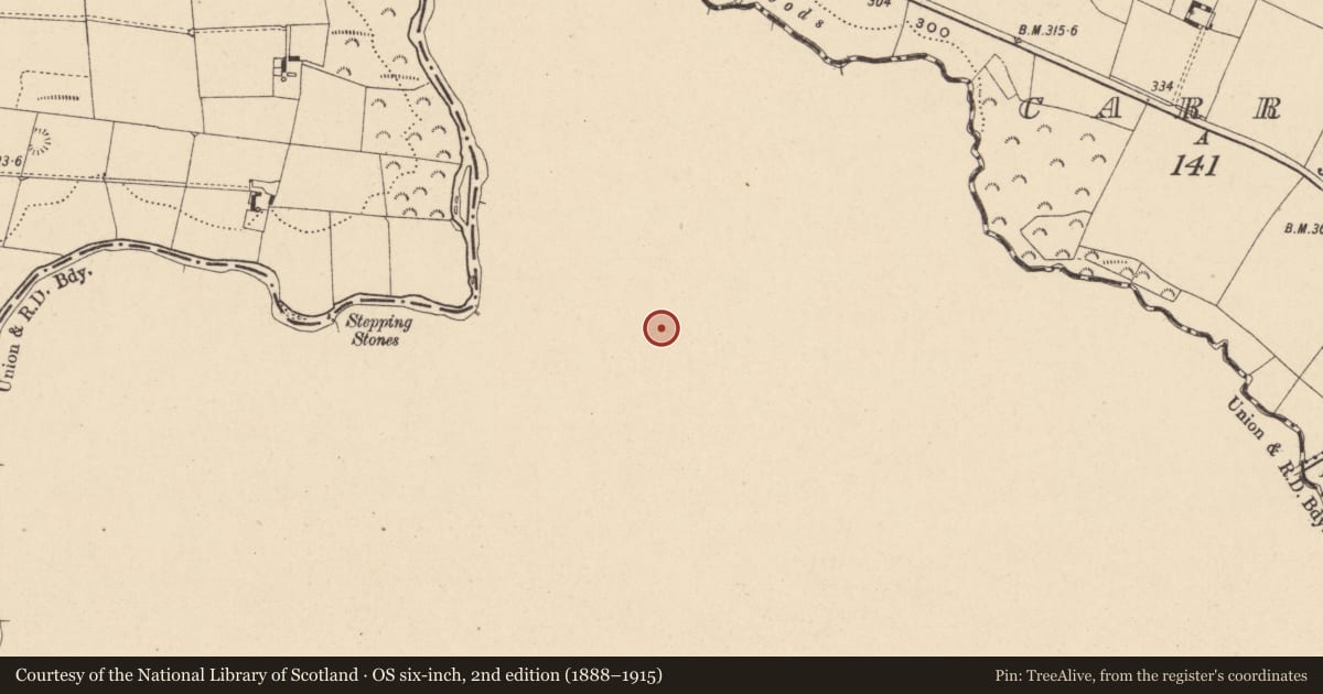 Ordnance Survey six-inch map, 2nd edition (1888–1915) covering the location of Burial mound, Liscolman, County Wicklow, with a pin at the register's coordinates