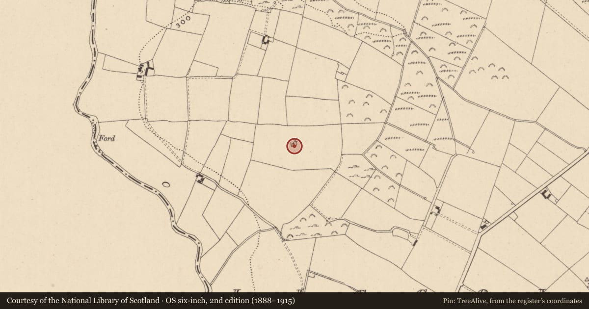 Ordnance Survey six-inch map, 2nd edition (1888–1915) covering the location of Burial mound, Liscolman, County Wicklow, with a pin at the register's coordinates