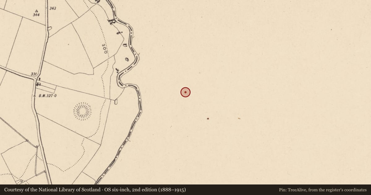 Ordnance Survey six-inch map, 2nd edition (1888–1915) covering the location of Burial ground, Liscolman, County Wicklow, with a pin at the register's coordinates