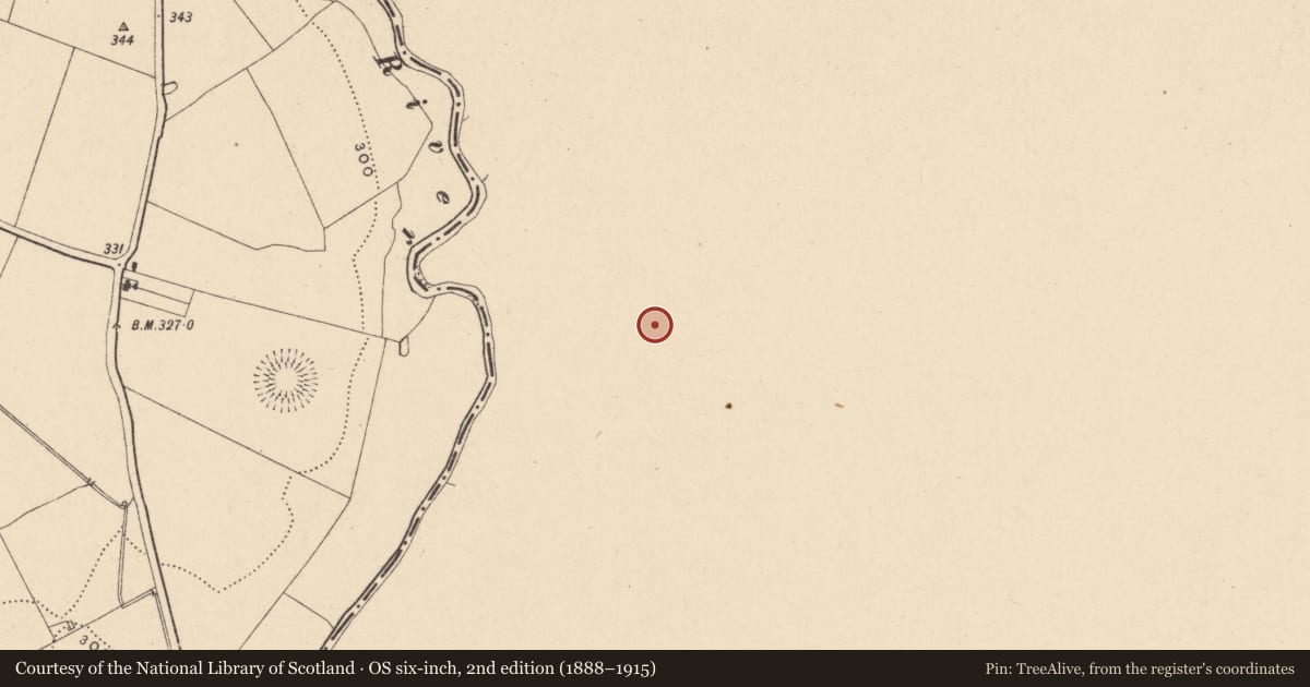 Ordnance Survey six-inch map, 2nd edition (1888–1915) covering the location of Cross, Liscolman, County Wicklow, with a pin at the register's coordinates