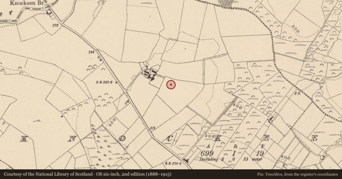 Ordnance Survey six-inch map, 2nd edition (1888–1915) covering the location of Barrow - ring-barrow, Knockeen, County Wicklow, with a pin at the register's coordinates