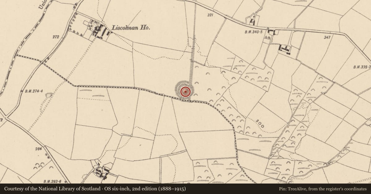 Ordnance Survey six-inch map, 2nd edition (1888–1915) covering the location of Ringfort - rath, Liscolman, County Wicklow, with a pin at the register's coordinates